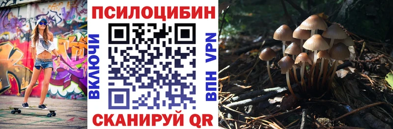 Галлюциногенные грибы Psilocybe что такое Оса